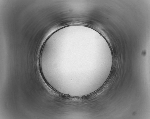 X0000099231195200805081550