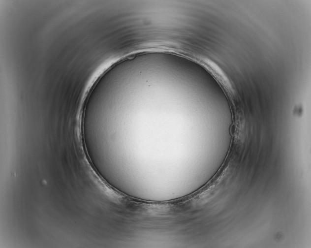 X0000099231196200805081550