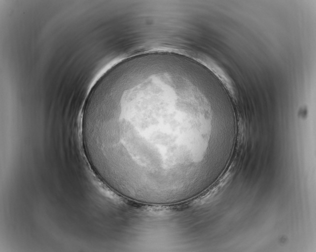 X0000099231198200805081549