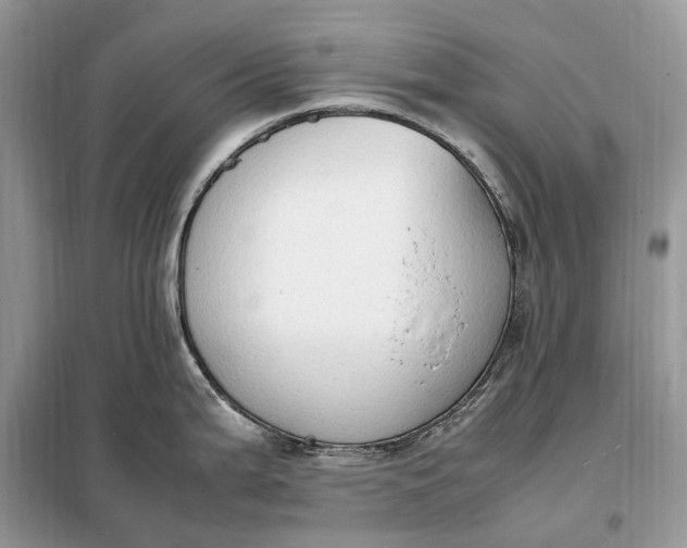 X0000099231199200805081549