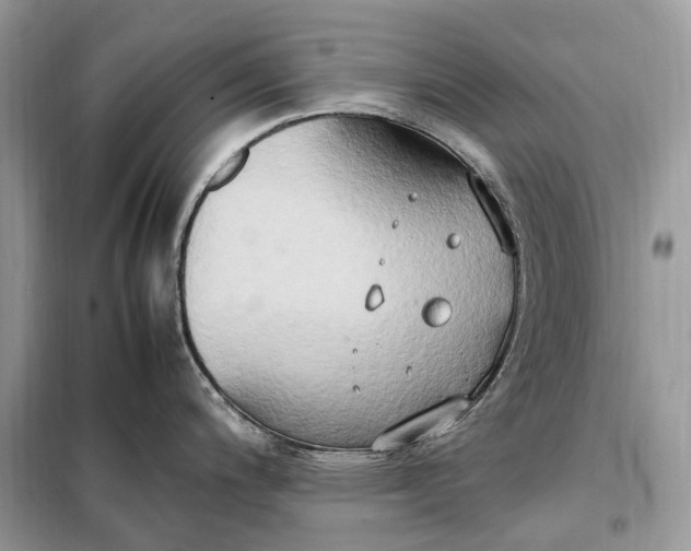 X0000099231200200805081549