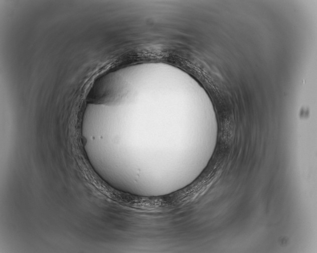 X0000099231201200805081549