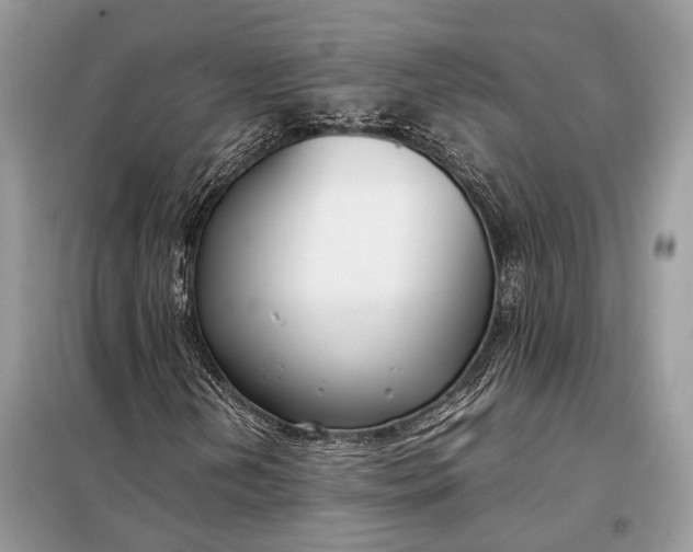 X0000099231202200805081549