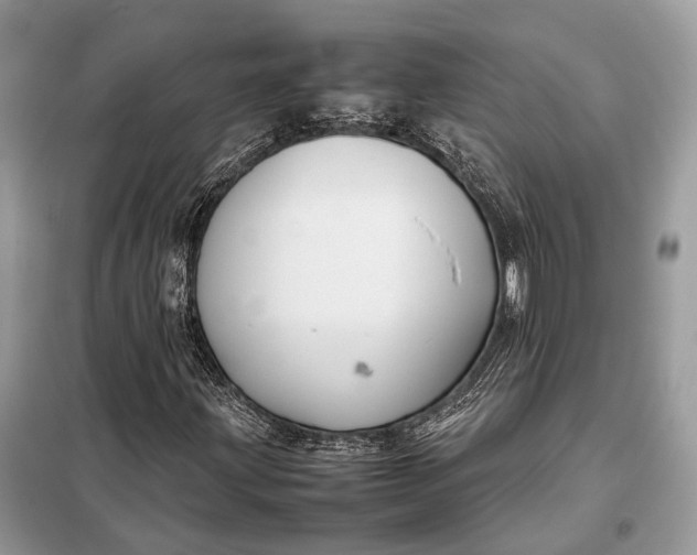 X0000099231203200805081549