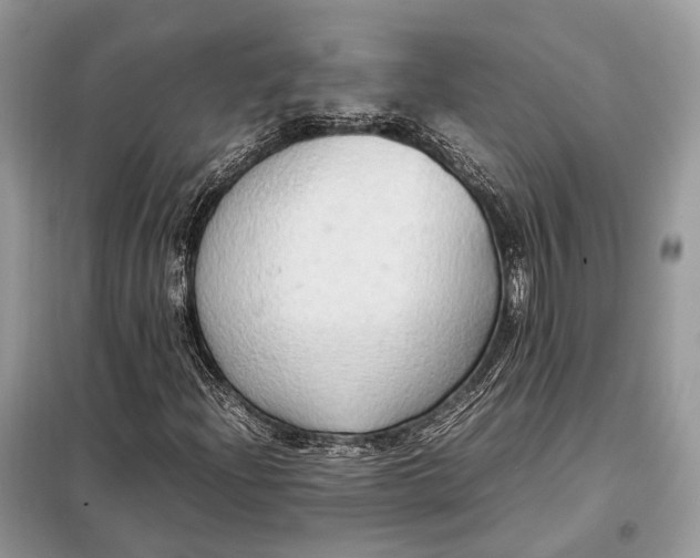 X0000099231204200805081549