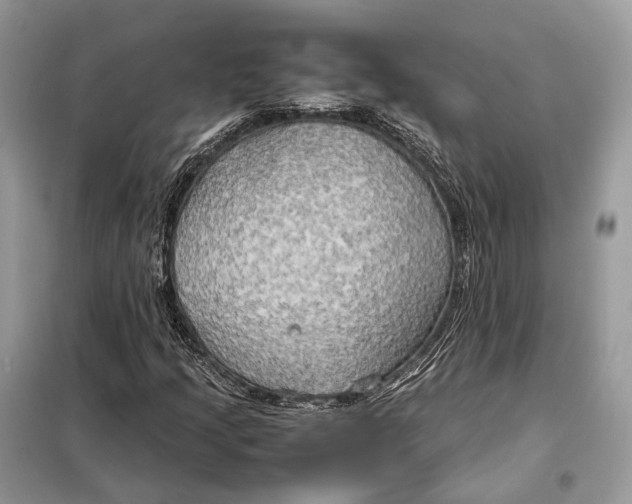 X0000099231205200805081549