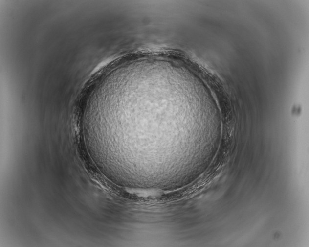 X0000099231206200805081549