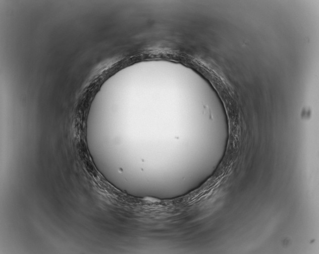 X0000099231207200805081549