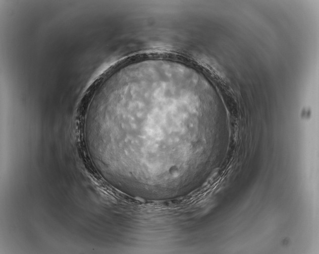 X0000099231208200805081549