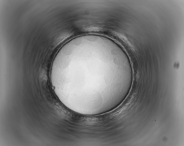 X0000099231209200805081549