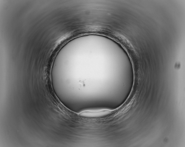 X0000099231210200805081549