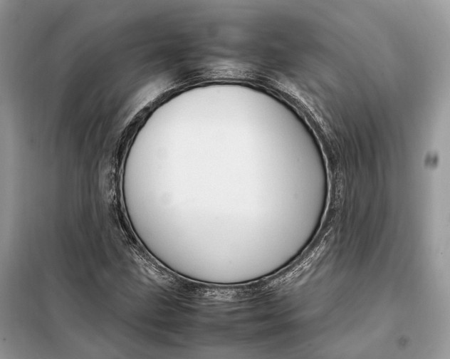 X0000099231211200805081549