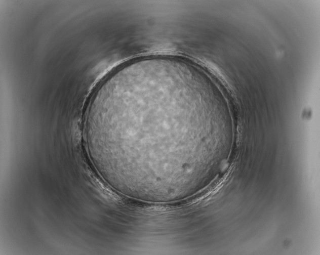 X0000099231212200805081549