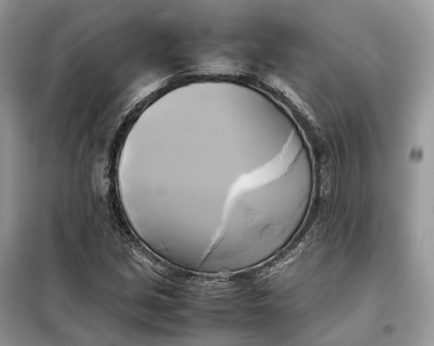 X0000099231213200805081549