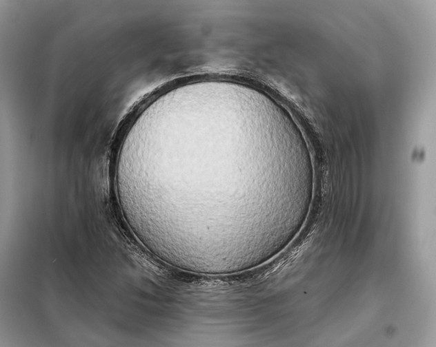 X0000099231214200805081549