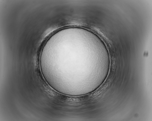 X0000099231215200805081549