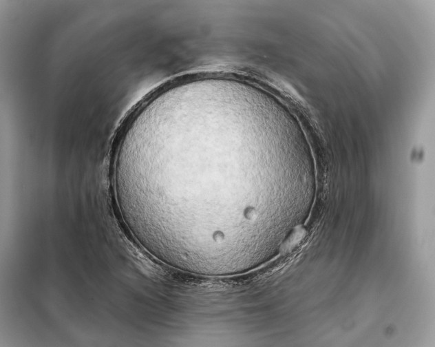 X0000099231216200805081549