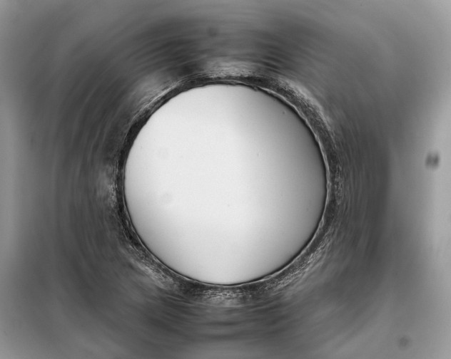 X0000099231217200805081549