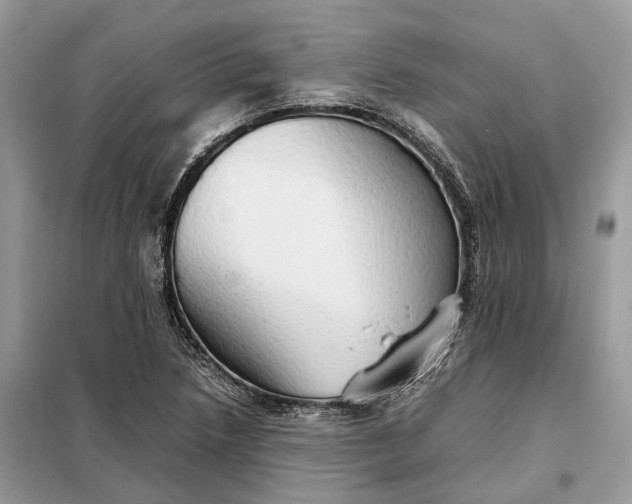 X0000099231218200805081549