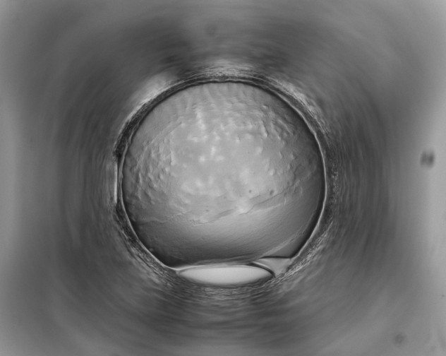 X0000099231219200805081549