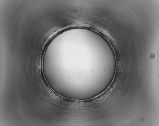 X0000099231220200805081549