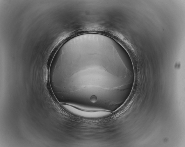 X0000099231221200805081549