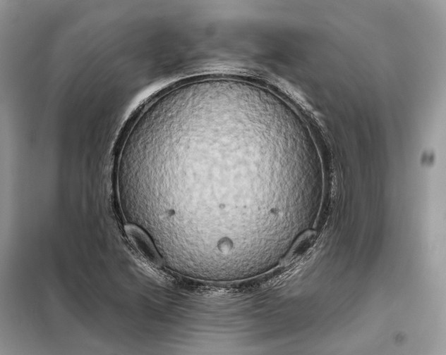 X0000099231222200805081549