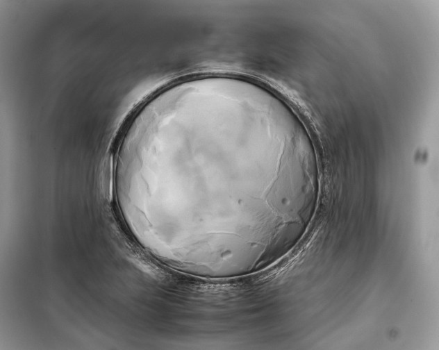 X0000099231223200805081549