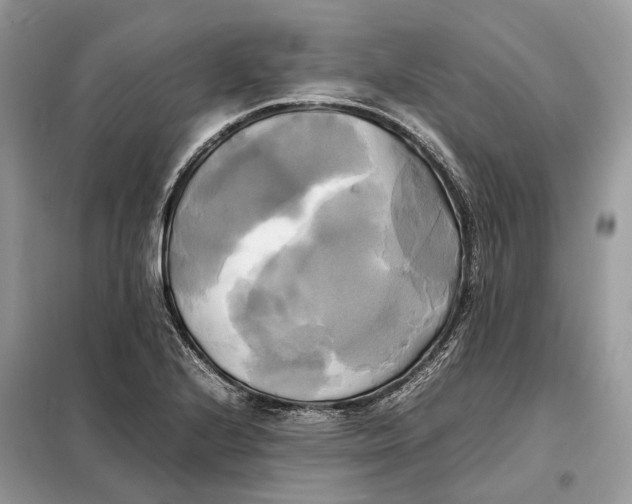 X0000099231224200805081549