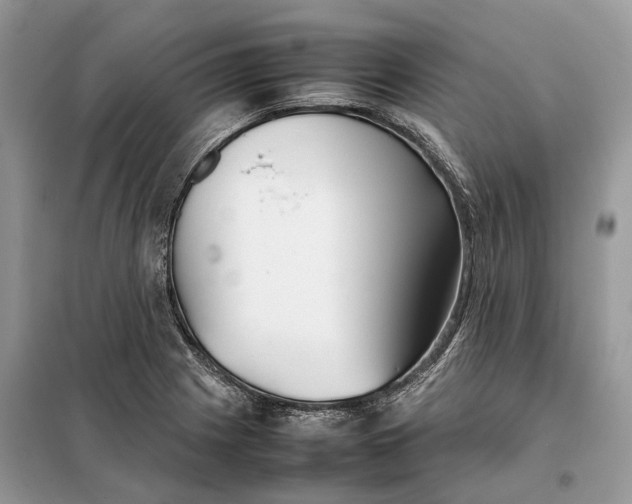 X0000099231225200805081549