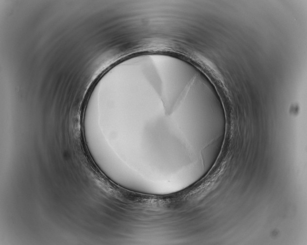 X0000099231226200805081549