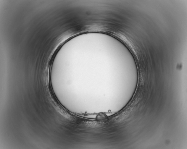 X0000099231227200805081549