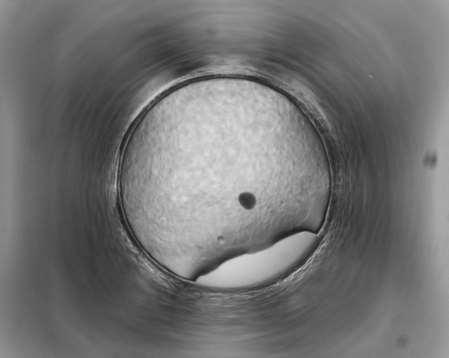 X0000099231228200805081549