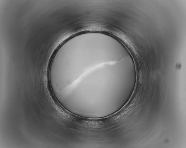 X0000099231229200805081549