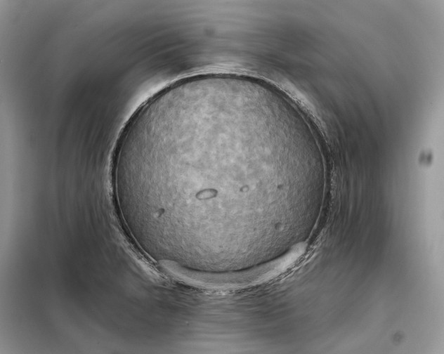 X0000099231230200805081549