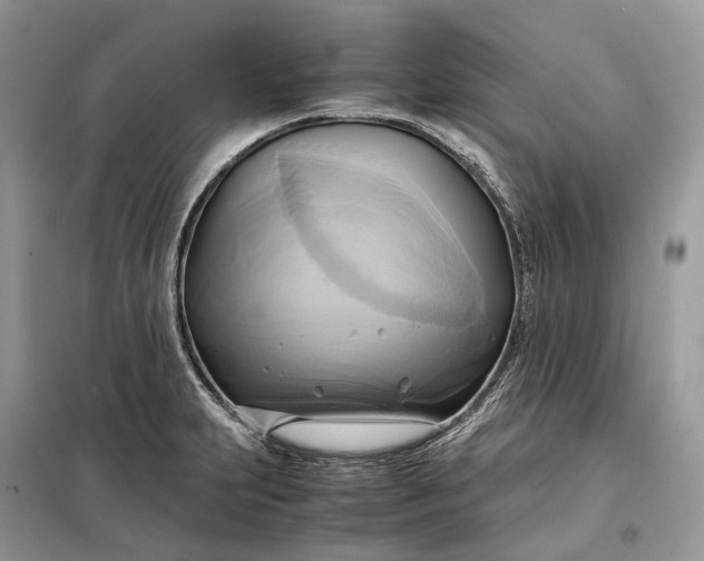 X0000099231231200805081549