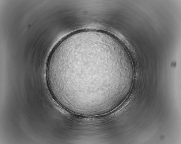 X0000099231232200805081549