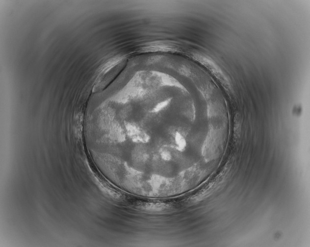 X0000099231233200805081549