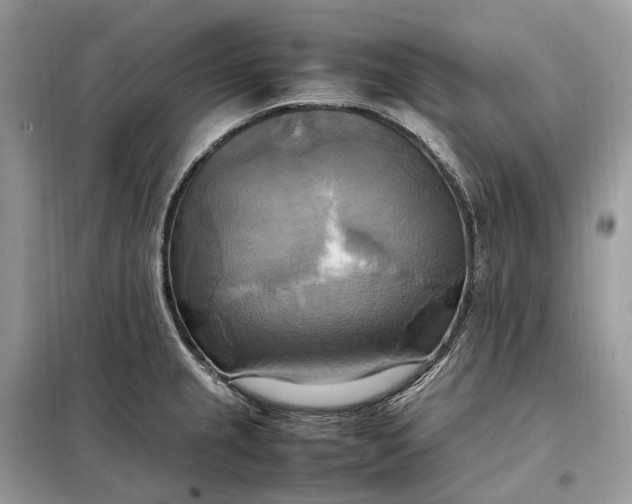 X0000099231237200805081549