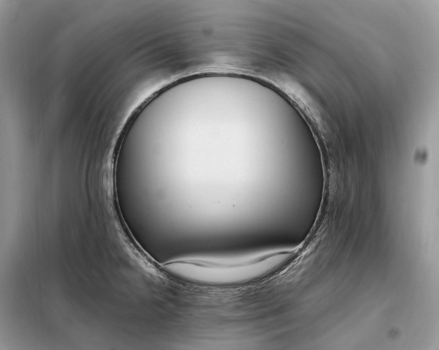 X0000099231238200805081549