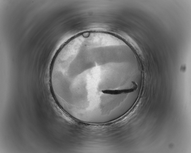 X0000099231240200805081549