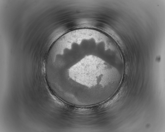 X0000099231241200805081549