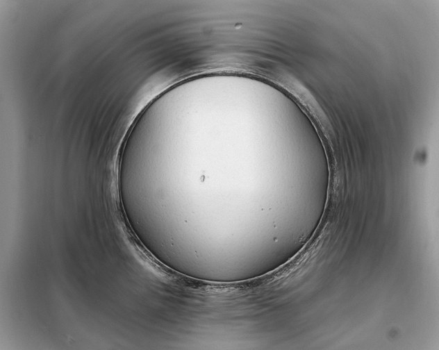 X0000099231242200805081549