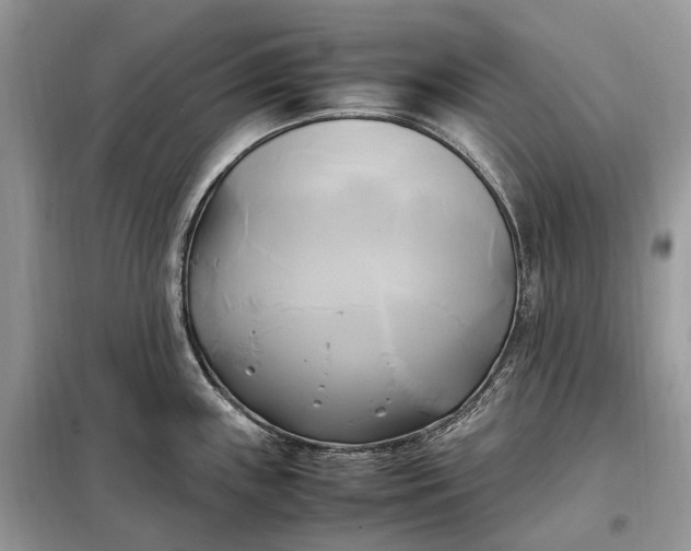 X0000099231243200805081549