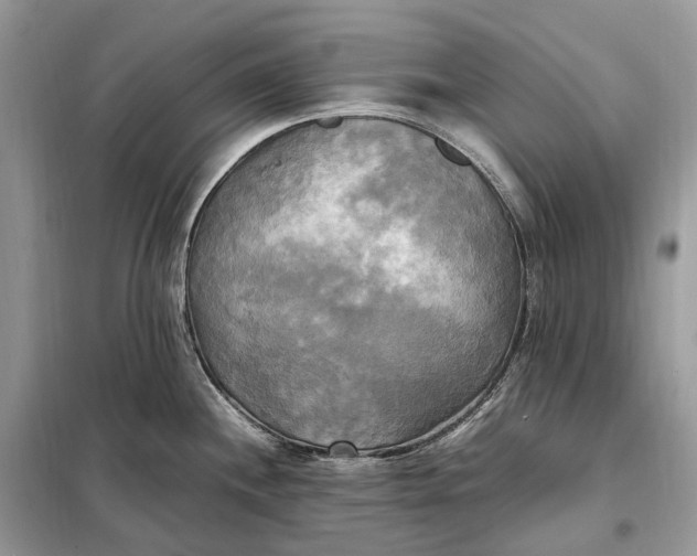 X0000099231244200805081549