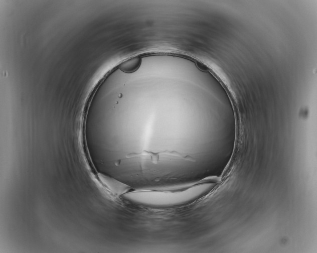 X0000099231245200805081549