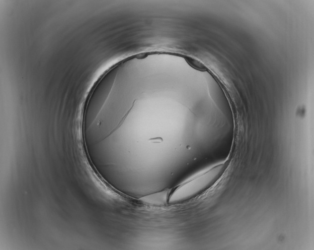 X0000099231246200805081549