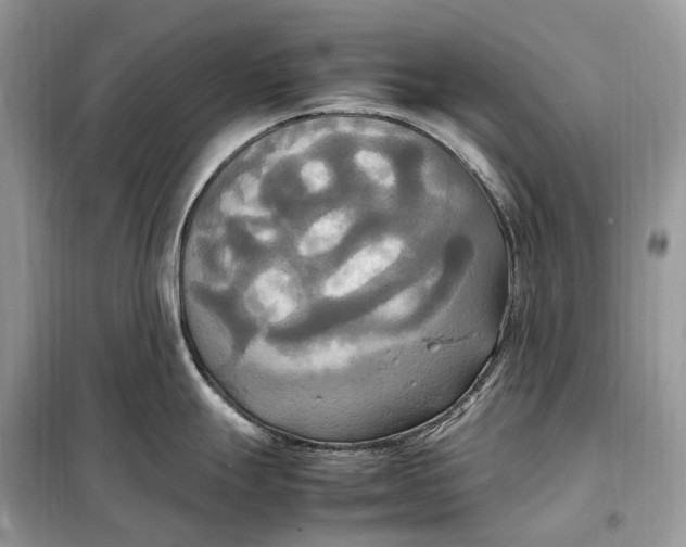 X0000099231247200805081549