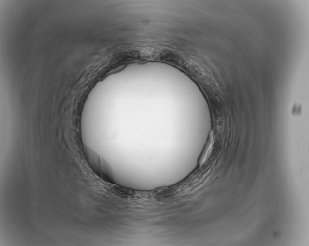 X0000099231249200805081549