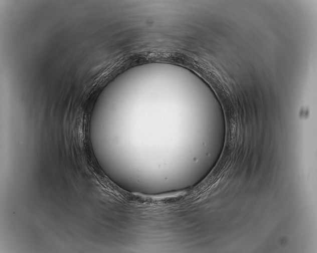 X0000099231250200805081549